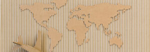 Cardboard Map of the World